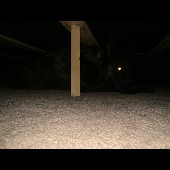 Meet your Posher, Andrew - Picture 1 of 1